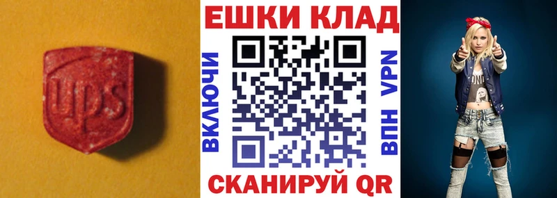 Ecstasy Punisher  Знаменск 