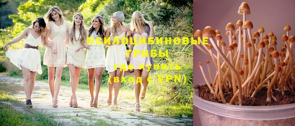 jwh Ельня