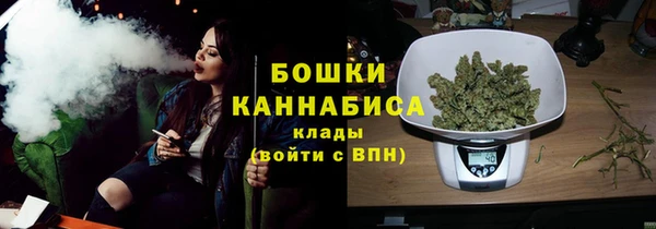 ALPHA PVP Елизово