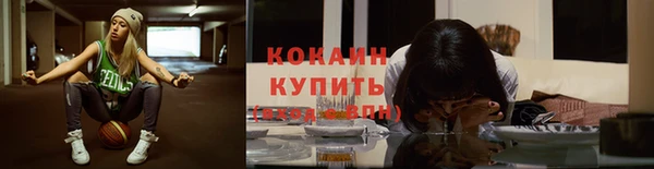 ALPHA PVP Елизово