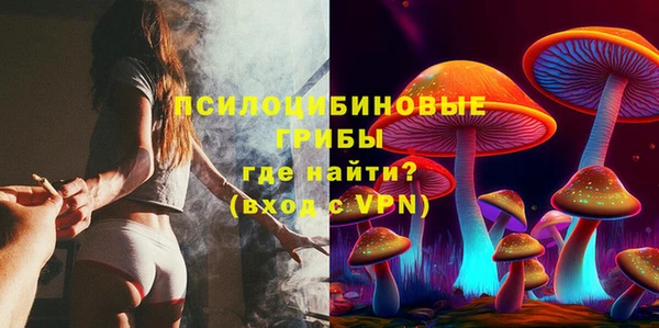 jwh Ельня